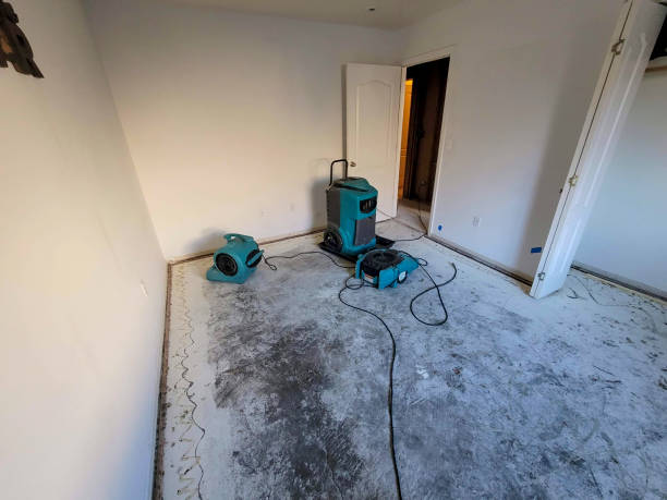 Best Sewage cleanup and water damage restoration  in Greenbrier, TN