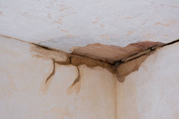 Best Professional water damage repair  in Greenbrier, TN