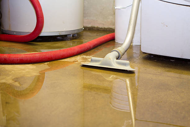 Best Flood damage cleanup  in Greenbrier, TN
