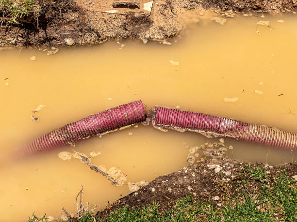 Best Emergency water damage restoration  in Greenbrier, TN